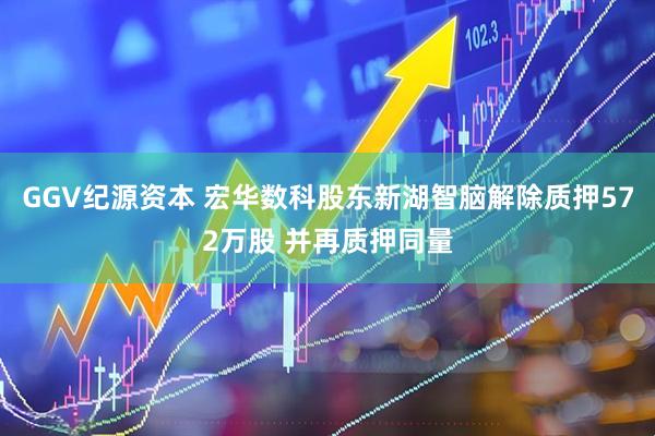 GGV纪源资本 宏华数科股东新湖智脑解除质押572万股 并再质押同量