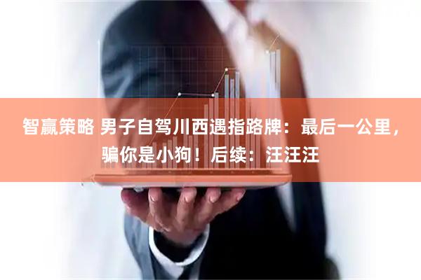 智赢策略 男子自驾川西遇指路牌：最后一公里，骗你是小狗！后续：汪汪汪
